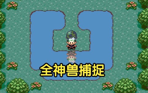 口袋妖怪绿宝石前期抓什么[图2]