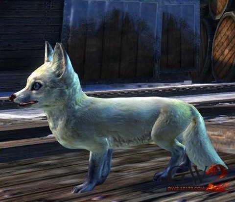 激战2宝石买什么好