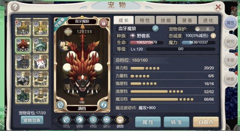 魔域开三宠要什么宝宝