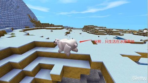 迷你世界企鹅怎么养