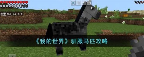 我的世界手机版怎么驯马[图1]