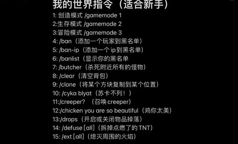 我的世界怎么用指令获得经验[图2]